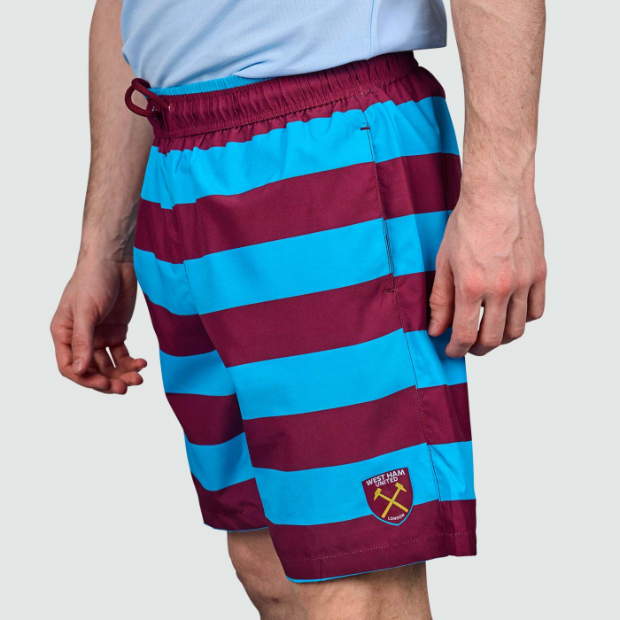 Bar Stripe Beach Shorts - Claret/Blue