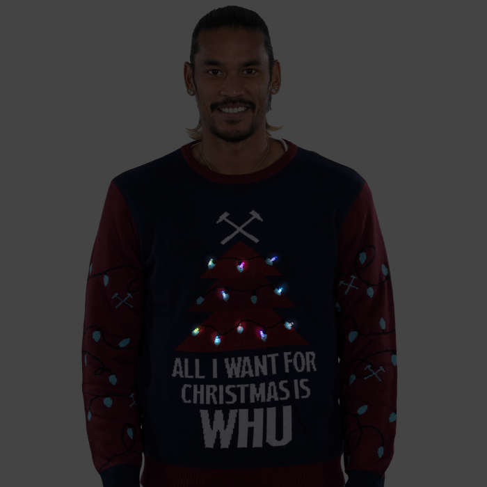 Adults Light Up Christmas Jumper