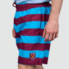 Bar Stripe Beach Shorts - Claret/Blue