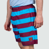 Bar Stripe Beach Shorts - Claret/Blue