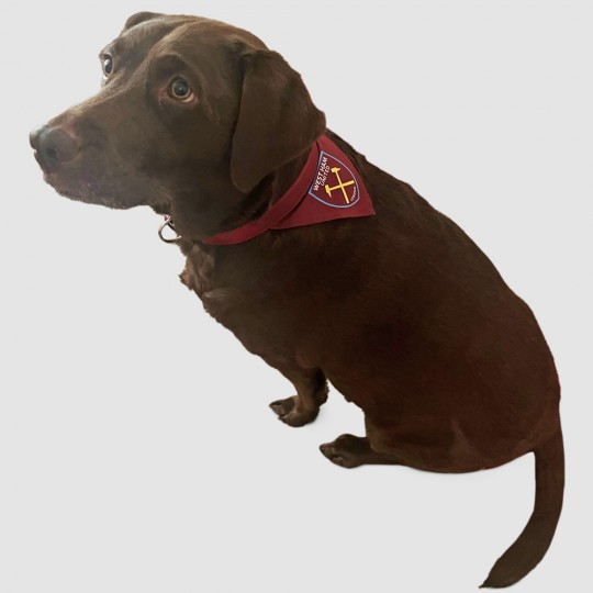 West ham dog on sale bandana