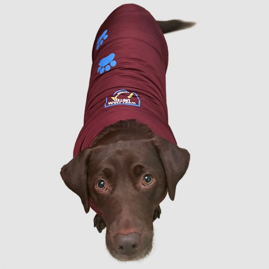 West Ham Extra Large Dog Coat