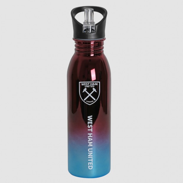 Claret/Blue Stainless Steel Bottle