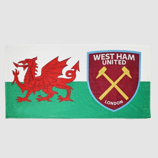 Wales Flag/Crest Towel