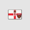 Northern Ireland Flag/Crest Pin Badge