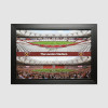 Framed Stadium Panoramic Montage