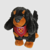 Dachshund