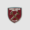 Crest Pin Badge