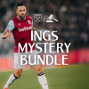 Ings Mystery Bundle 1