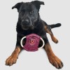 West Ham Rope Frisbee Pet Toy