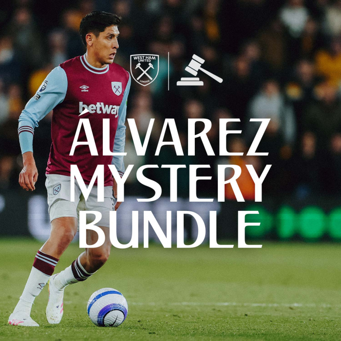 Alvarez Mystery Bundle 1