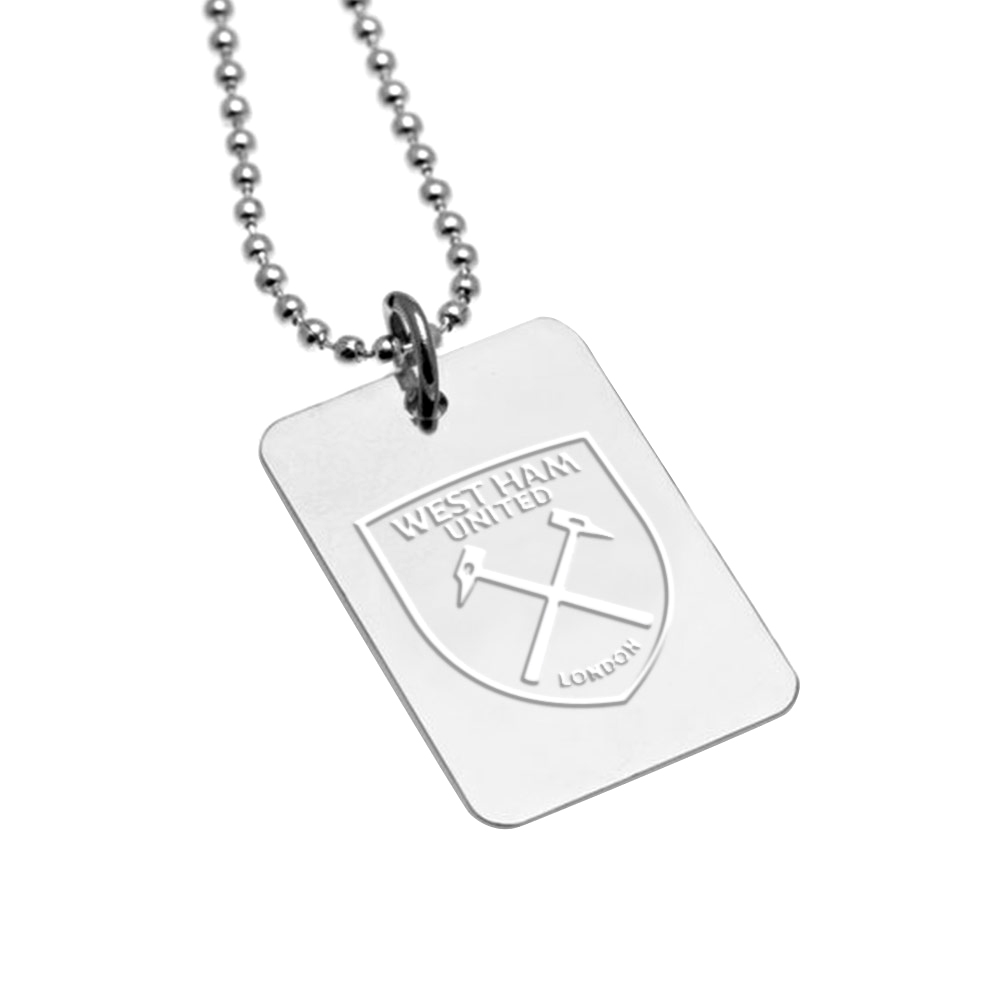 Silver Plated Dog Tag And Chain